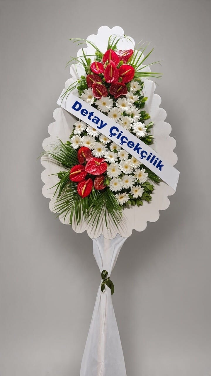 Kırmızı Antoryum Gerbera