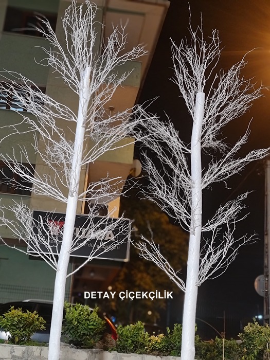 Salex dallı dilek ağacı 