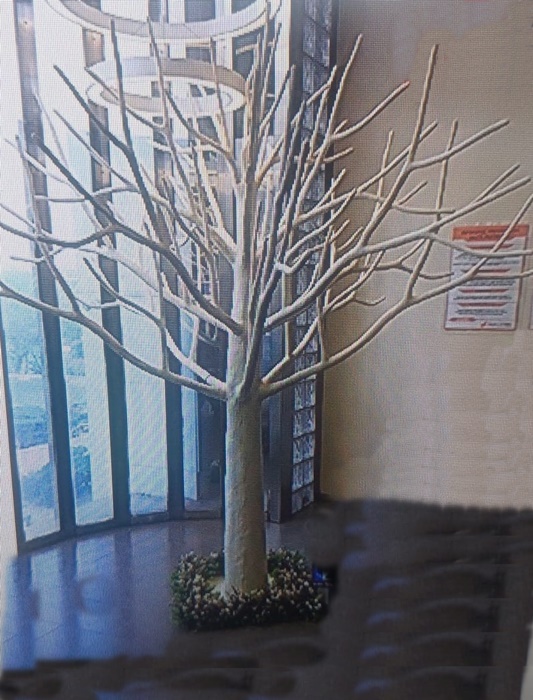 Kalın dallı dilek ağacı