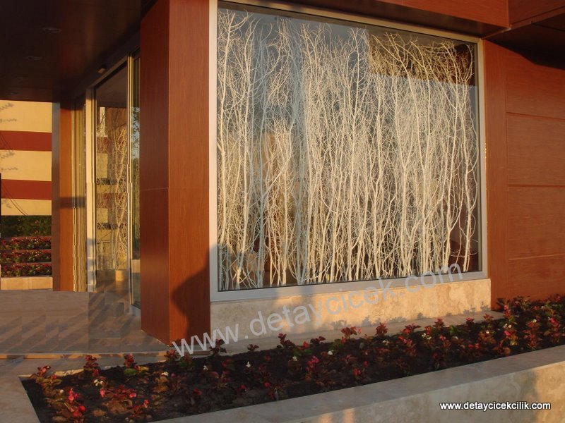 Büyük boy salex dal