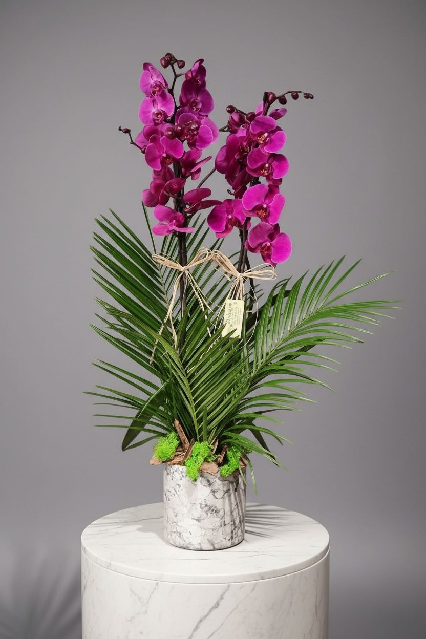 2 Dal Fuşya Orkide Çiçeği