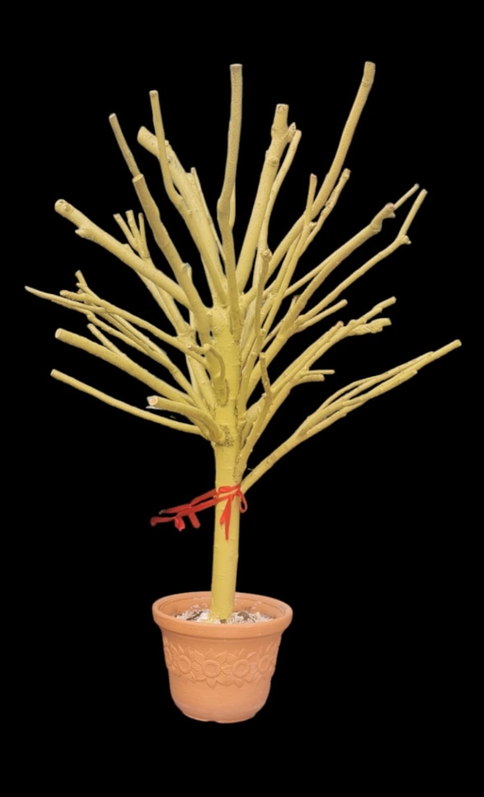 Renkli dilek ağacı