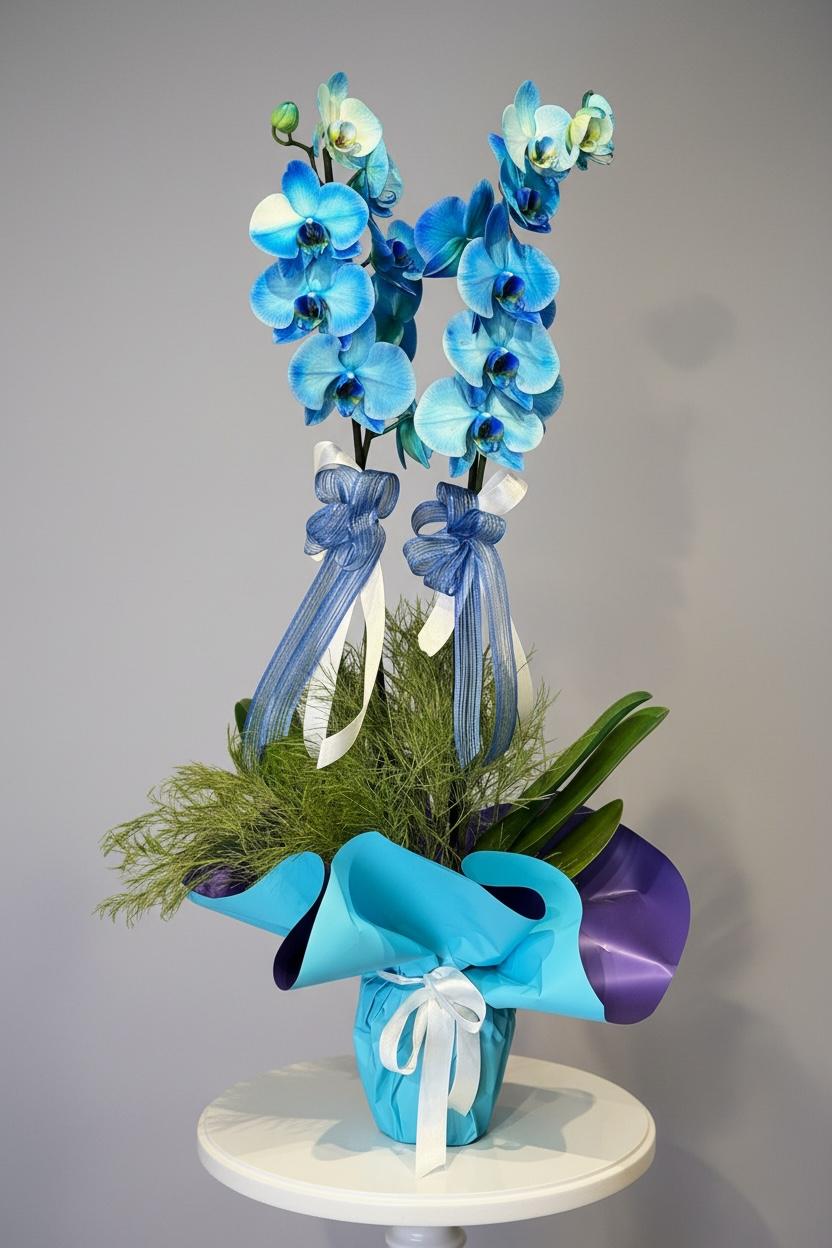 Mavi Orkide Çiçeği