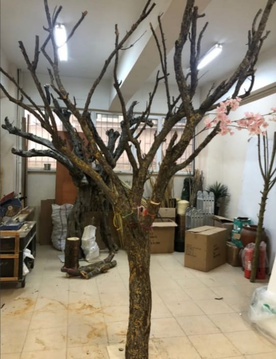 Kalın gövdeli dilek ağacı