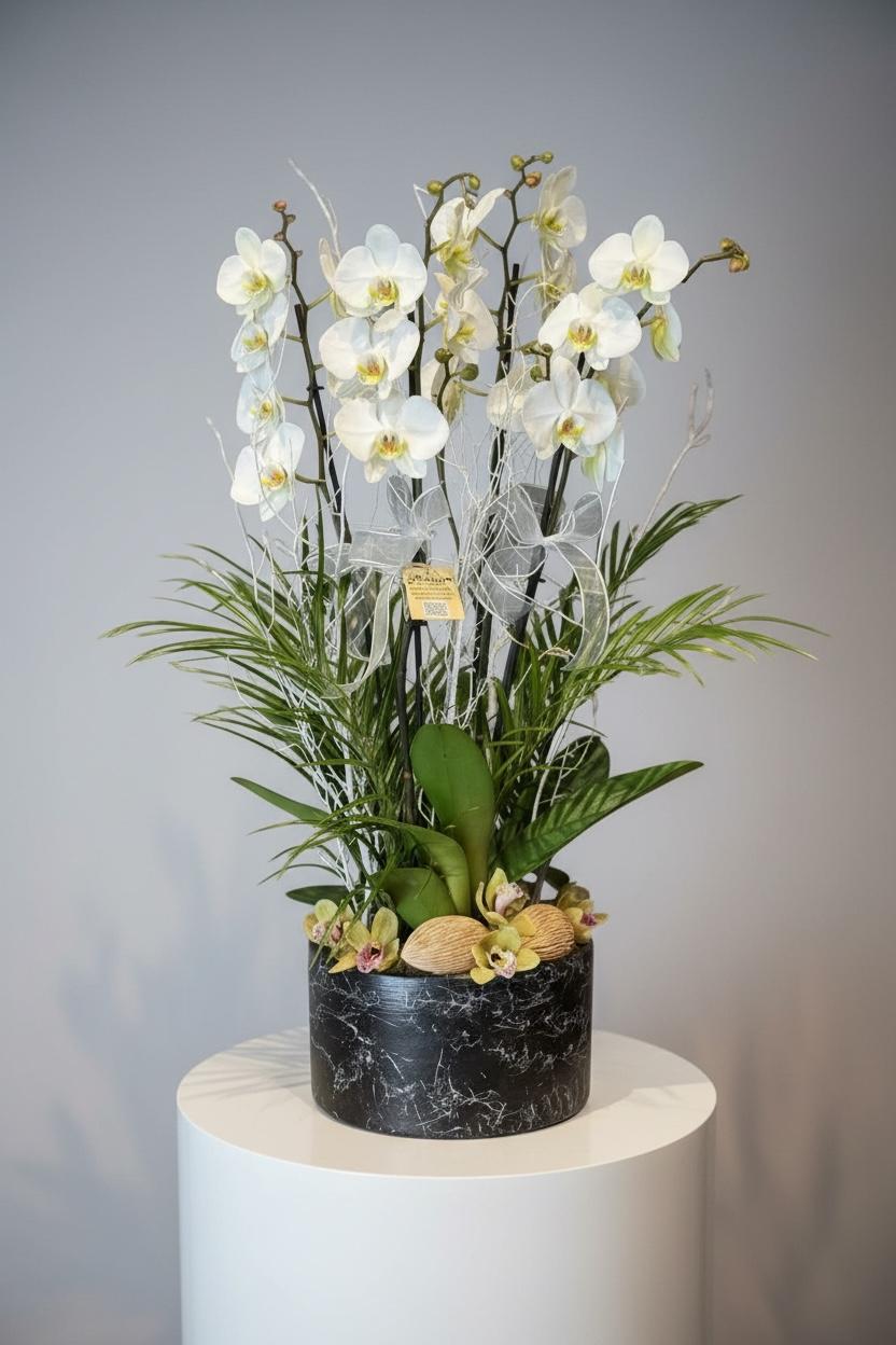 4 Dal Beyaz Orkide Çiçeği